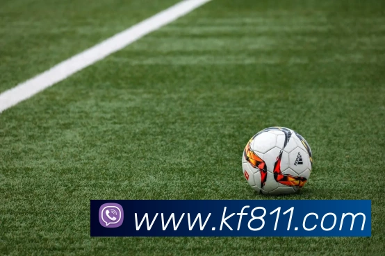 扫码下载 App